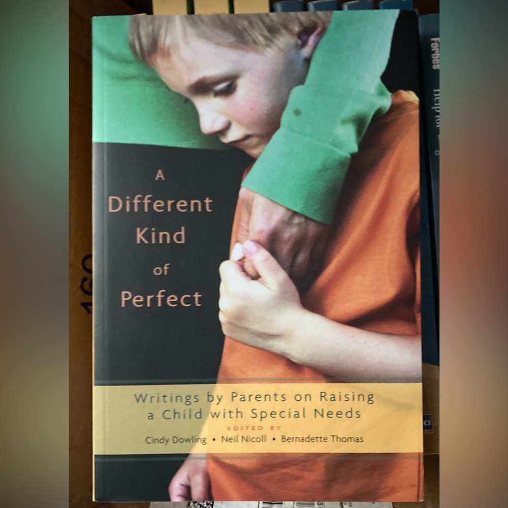 NEW A Different Kind of Perfect Book